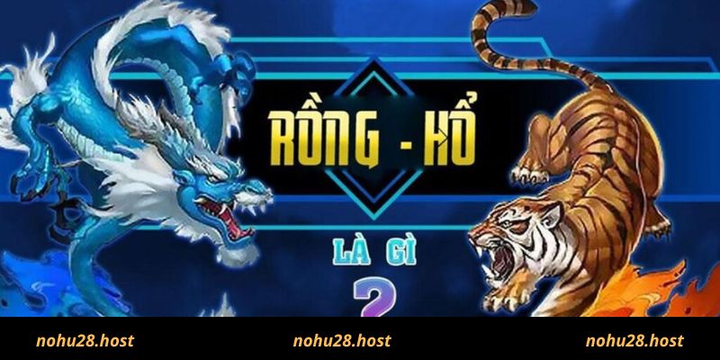 Kinh nghiệm cho người chơi game Rồng Hổ Nohu